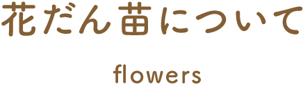 花だん苗について