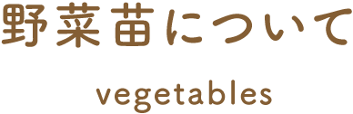 野菜苗について